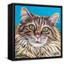 High Society Cat I-Carolee Vitaletti-Framed Stretched Canvas