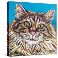 High Society Cat I-Carolee Vitaletti-Stretched Canvas