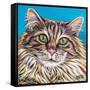 High Society Cat I-Carolee Vitaletti-Framed Stretched Canvas