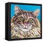 High Society Cat I-Carolee Vitaletti-Framed Stretched Canvas