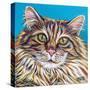 High Society Cat I-Carolee Vitaletti-Stretched Canvas