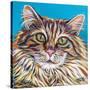High Society Cat I-Carolee Vitaletti-Stretched Canvas