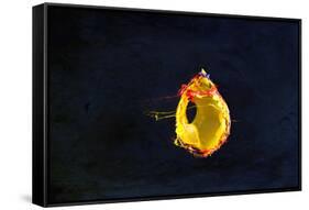 High Speed Flash Capturing Bursting Balloon and Visible Sound Wave Distortions-Yon Marsh-Framed Stretched Canvas