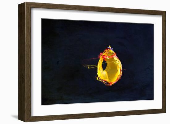 High Speed Flash Capturing Bursting Balloon and Visible Sound Wave Distortions-Yon Marsh-Framed Photographic Print