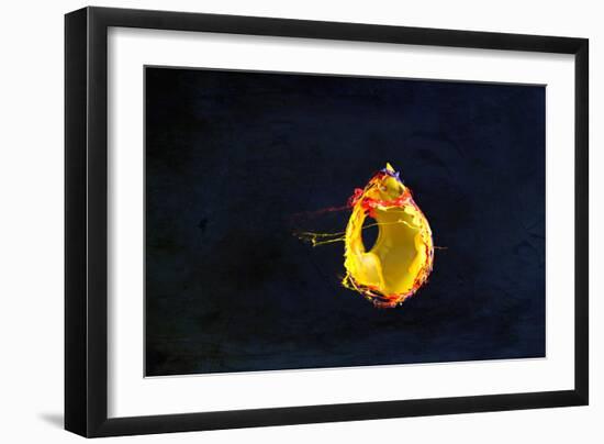 High Speed Flash Capturing Bursting Balloon and Visible Sound Wave Distortions-Yon Marsh-Framed Photographic Print