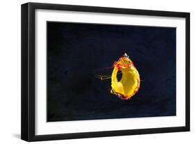 High Speed Flash Capturing Bursting Balloon and Visible Sound Wave Distortions-Yon Marsh-Framed Photographic Print