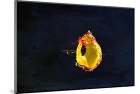 High Speed Flash Capturing Bursting Balloon and Visible Sound Wave Distortions-Yon Marsh-Mounted Photographic Print