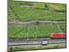 High Speed Train by Rhineland Vineyards, Koblenz, Germany-Miva Stock-Mounted Photographic Print