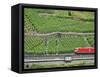 High Speed Train by Rhineland Vineyards, Koblenz, Germany-Miva Stock-Framed Stretched Canvas