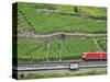 High Speed Train by Rhineland Vineyards, Koblenz, Germany-Miva Stock-Stretched Canvas