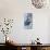 High Spirit - Snow Leopard-Kim Thompson-Mounted Giclee Print displayed on a wall