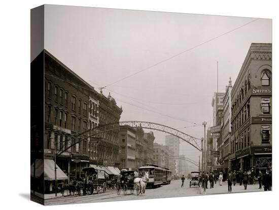 Stretched Canvas Print, , large