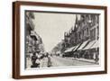 Brown Frame