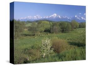 High Tatra Mountains from Near Poprad, Slovakia-Upperhall-Stretched Canvas