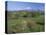 High Tatra Mountains from Near Poprad, Slovakia-Upperhall-Stretched Canvas