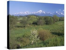 High Tatra Mountains from Near Poprad, Slovakia-Upperhall-Stretched Canvas