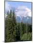 High Tatra Mountains from Tatranska Lomnica, Slovakia-Upperhall-Mounted Photographic Print