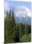 High Tatra Mountains from Tatranska Lomnica, Slovakia-Upperhall-Mounted Photographic Print