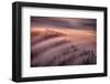 High Tide-Peter Svoboda, MQEP-Framed Photographic Print