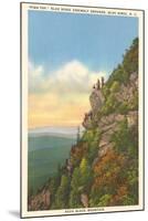 High Top, Blue Ridge Assembly Grounds, North Carolina-null-Mounted Art Print