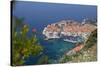 High View of City and Harbour from Mountain Side-John Miller-Stretched Canvas