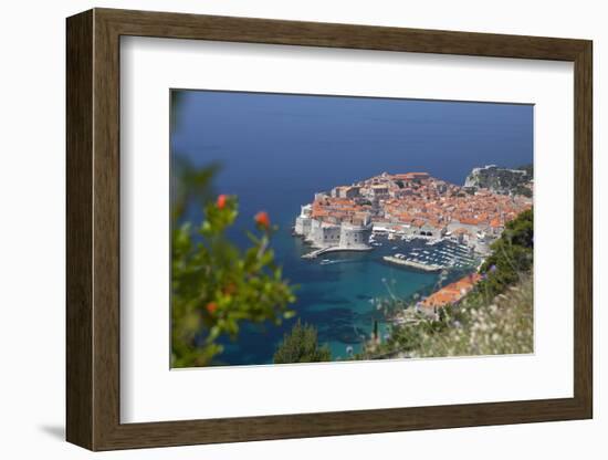 High View of City and Harbour from Mountain Side-John Miller-Framed Photographic Print