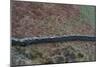 High View of Stone Wall-Clive Nolan-Mounted Photographic Print