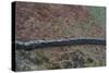 High View of Stone Wall-Clive Nolan-Stretched Canvas