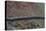 High View of Stone Wall-Clive Nolan-Stretched Canvas