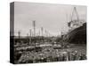 High Water at New Orleans, La., Levee, March 21, 1903-null-Stretched Canvas