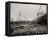 High Water at New Orleans, La., Levee, March 21, 1903-null-Framed Stretched Canvas