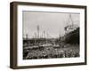 High Water at New Orleans, La., Levee, March 21, 1903-null-Framed Photo