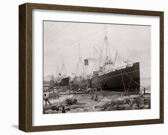 High Water at New Orleans, La., Levee, March 21, 1903-null-Framed Photo