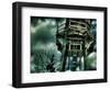 High Water-Stephen Arens-Framed Photographic Print