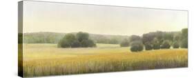 High Woods Field-Elissa Gore-Stretched Canvas