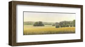 High Woods Field-Elissa Gore-Framed Art Print