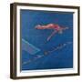 Highboard Diver-Patti Mollica-Framed Giclee Print