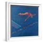 Highboard Diver-Patti Mollica-Framed Giclee Print