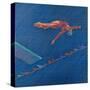 Highboard Diver-Patti Mollica-Stretched Canvas