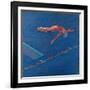 Highboard Diver-Patti Mollica-Framed Giclee Print