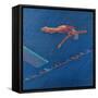 Highboard Diver-Patti Mollica-Framed Stretched Canvas