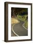 Highcliff Rd, Otago Peninsula, Dunedin, South Island, New Zealand-David Wall-Framed Photographic Print