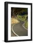 Highcliff Rd, Otago Peninsula, Dunedin, South Island, New Zealand-David Wall-Framed Photographic Print