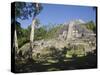 Highest Temple in Lamanai, Lamanai, Belize-Jane Sweeney-Stretched Canvas