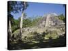 Highest Temple in Lamanai, Lamanai, Belize-Jane Sweeney-Stretched Canvas