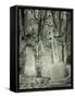 Highgate Cemetery, London, England-Jon Arnold-Framed Stretched Canvas