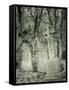 Highgate Cemetery, London, England-Jon Arnold-Framed Stretched Canvas