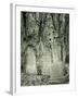 Highgate Cemetery, London, England-Jon Arnold-Framed Photographic Print