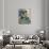 Highgate Petunias-Brenda Brin Booker-Giclee Print displayed on a wall
