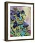 Highgate Petunias-Brenda Brin Booker-Framed Giclee Print